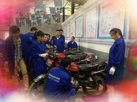 �����S����Ӗ�WУ,����Ħ��܇�S����Ӗ�WУ